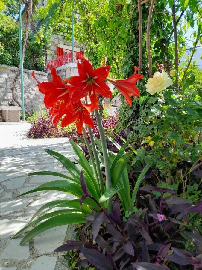 Stone House In Buljarica Villa Petrovac ภายนอก รูปภาพ