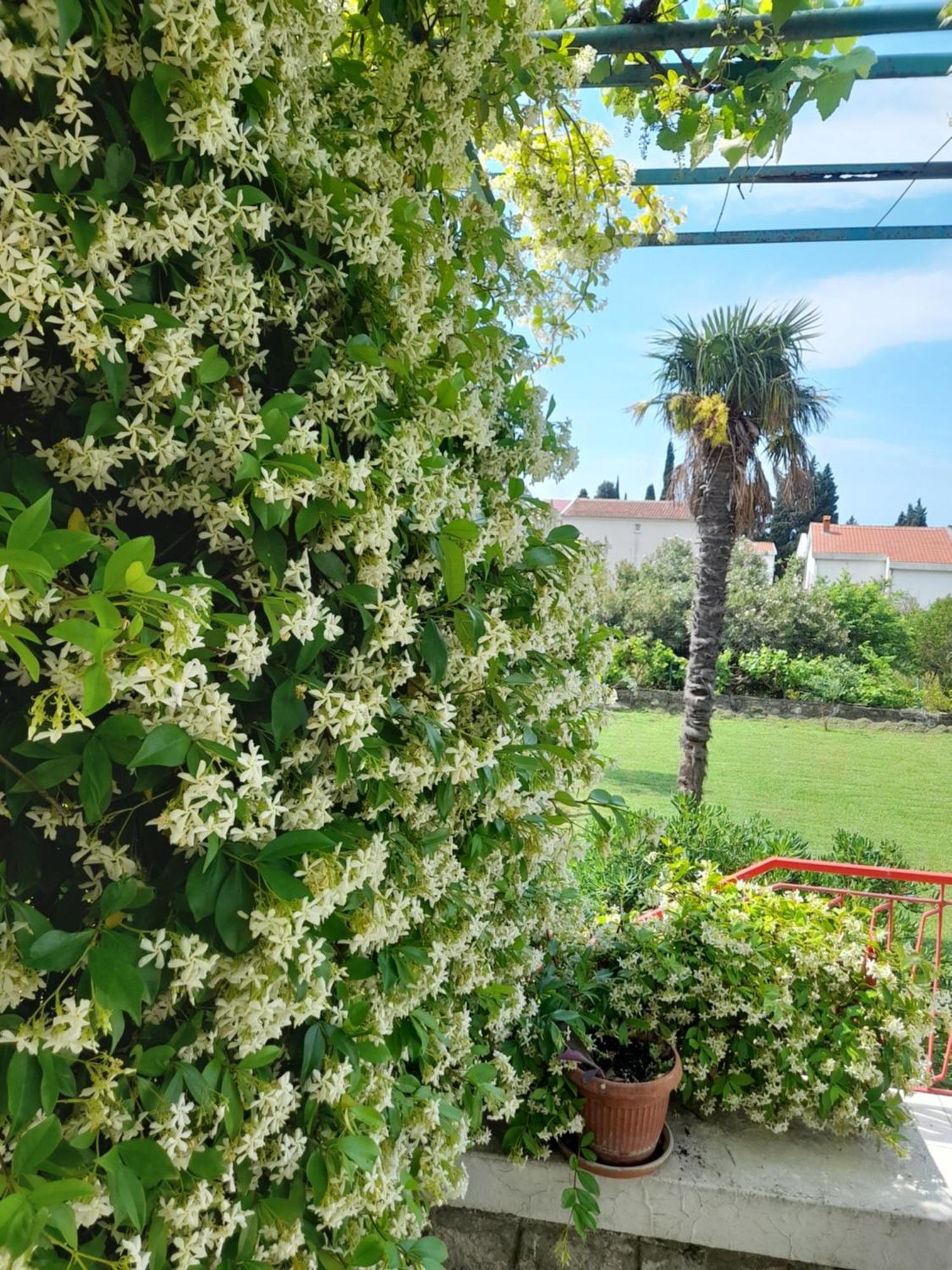 Stone House In Buljarica Villa Petrovac ห้อง รูปภาพ